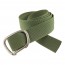 Olive Green Carabiner Web Belt