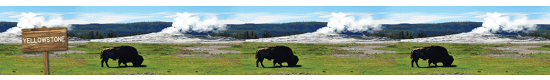460_YellowstoneNationalPark - +$3.00