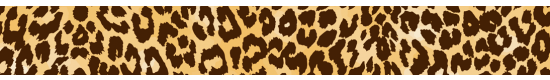 Cheetah Print #426 - +$3.00