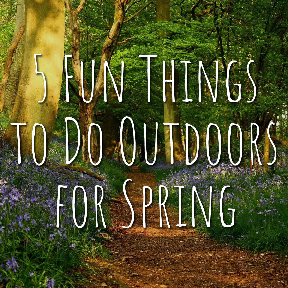 5 Fun Things to Do Outdoors for Spring