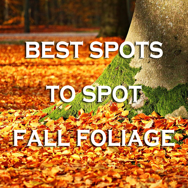 Best Spots to Spot Fall Foliage in the USA